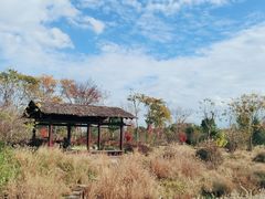 -柳鹭田园区