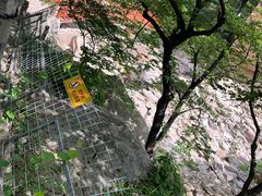 -崂山九水游览区