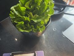 -青松宇大汗·碳烤羊腿(大浪店)