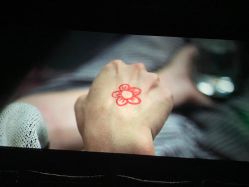 点击看大图 -木子美学