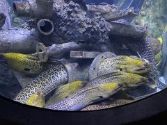 -成都浩海立方海洋公园