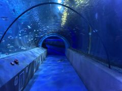 -太平洋海底世界