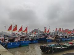 -沈家门渔港