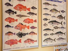 -镹·鱼料理  国产鱼使用店