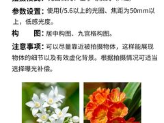 -CGWANG王氏教育(上海校区)