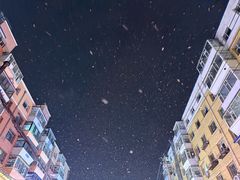 -状元阁烧烤(新华路总店)