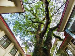 -普陀山雷迪森庄园
