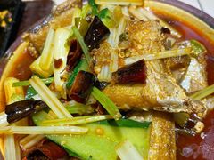 屠龙耗儿鱼-酒阳蒸经小酒馆(解放碑店)