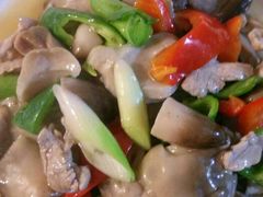 菌毛肚-竹野·上|老字号全竹宴