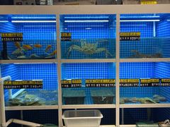 水产区-金龙·打边炉(南京西路店)