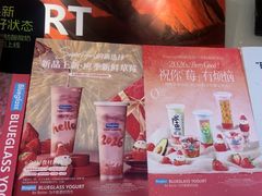 -Blueglass酸奶(财富购物中心店)