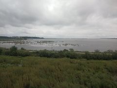 -农垦当壁镇兴凯湖旅游度假区