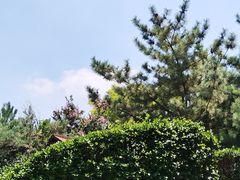 -徂徕山森林康养度假谷温泉