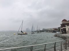 -金鸡湖游船(月光码头)