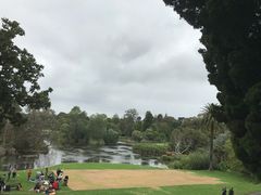 -墨尔本皇家植物园