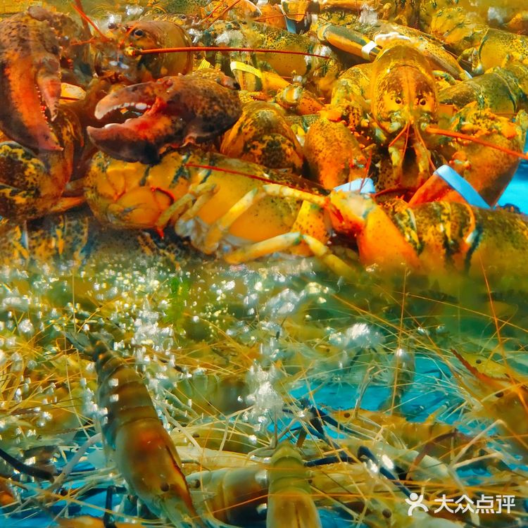 长沙❗❗有人在楼上赶海，尝尽美味佳肴!