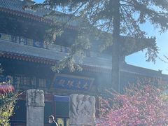 -五台山风景名胜区