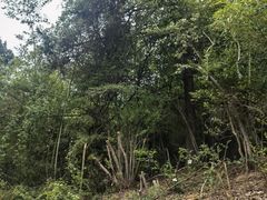 -敬亭山风景名胜区