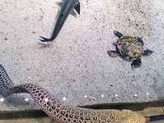 -鸿通城购物中心