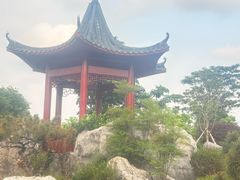 -东莞植物园