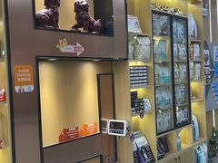 -pd派德宠物中心医院24H急重症·眼科中心·血液透析中心(嵩山北路店)