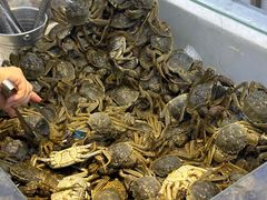 -集品鲜湾·蒸汽海鲜自助料理(青岛银座和谐广场店)