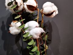 -TODAY(环城东路店)