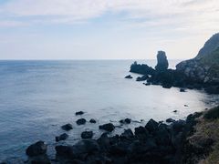 -涉地可支