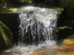 -太平万花山景区