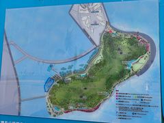 -野狸岛