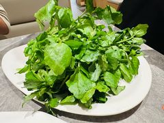 -张凯达·深海石斑鱼潮汕火锅(十五年品牌•虹桥天街店)