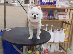 -多卡布奇宠物生活馆(上林世家店)