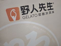-野人先生现做冰淇淋(北京环宇荟店)