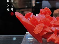 -中国地质博物馆