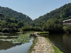 -桃花岭景区