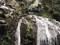 -藏龙百瀑风景区