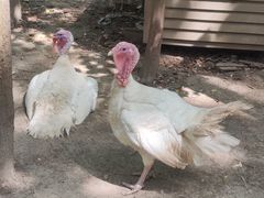 -昆山城市生态森林公园