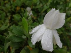 -福建师范大学(仓山校区)