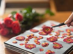 -大财·DA CAI花园餐厅.草坪婚礼.团建会议.围炉煮茶.求婚派对(三圣乡店)