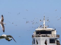 -海驴岛(荣成市)