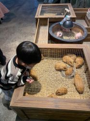 -酷嗒动物文化乐园(cutezoo西溪乐天城店)