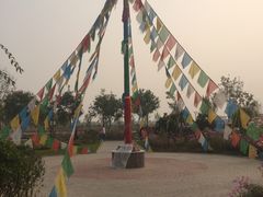 -武清南湖绿博园