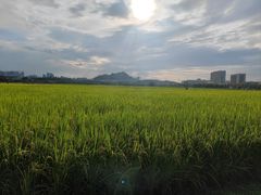 -光明小镇欢乐田园