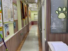-瑞鹏宠物医院·宠保定点·心脏科·内科(御桥分院)