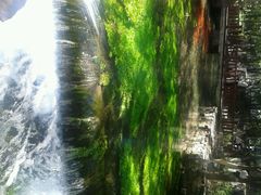 android_upload_pic-水磨沟公园