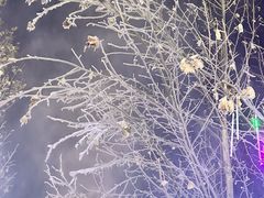 -鑫嘉汇购物中心