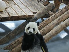 -无锡动物园·太湖欢乐园