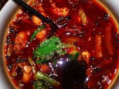 -鸽子侯·家宴·平价海鲜(绿地店)