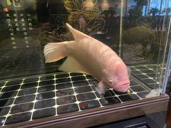 -老三羊汤【北兴隆街店】