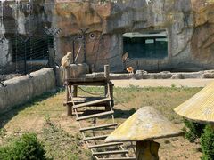 -大连森林动物园